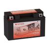 Ducati 959cc 959 Panigale, 2016 Motorcycle Battery (Replacement)