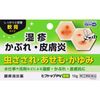 【指定第2類医薬品】ヒフトップPV軟膏 10g ×4