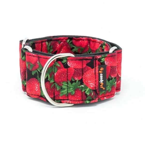 candyPet Martingale Dog Collar - Strawberries Model - Multicolor - L