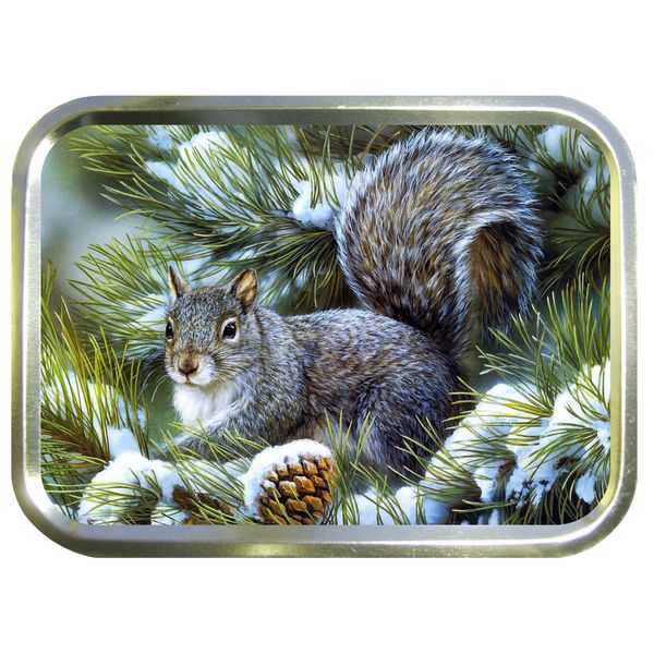 Noveltyshack SQUIRREL 2oz GOLD TOBACCO TIN,BACCY TIN,PILL BOX, STASH CAN,STORAGE TIN