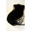 Hareline Sparkle Emerger Yarn Black