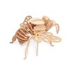 Quay Bumble Bee Woodcraft Construction Kit FSC