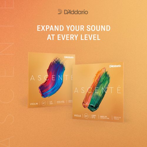 D'Addario Ascente 4/4 Size Violin Strings Set with Bal Ends and Synthetic Core - A310 4/4M - Full Set - Medium Tension