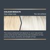 Jerome Russell Bblonde Maximum Colour Ice Blonde Toner - Non Permanent Hair Toner for Pre Lightened & Naturally Blonde Hair, Cool Blonde Hair Dye with No Ammonia/Peroxide, Lasts up to 8 Washes, 75ml