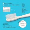 Instant Toothbrush Biomass Set of 500