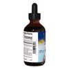 Planetary Herbals Echinacea-Elderberry Syrup , 4 fl oz (128.28 ml)