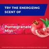 Hefty Ultra Strong Tall Kitchen Drawstring Trash Bag, Pomegranate Mist, 40 Count