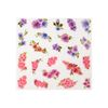 Catherine Majesty Nail Tattoo 7 g