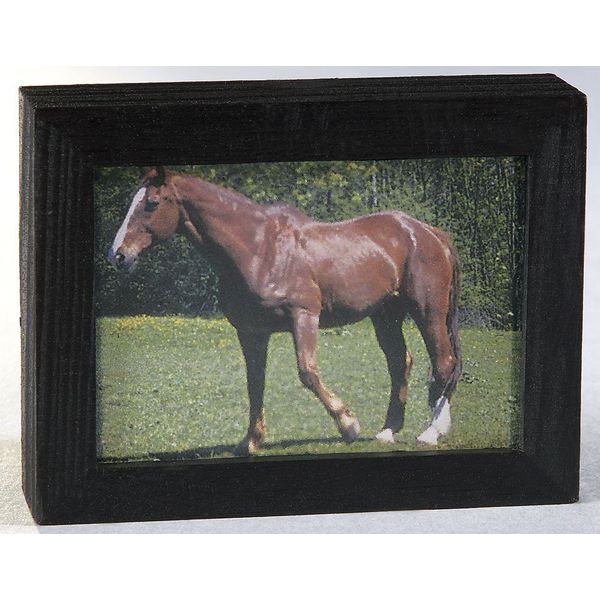 Rulke Rulke049645 Flat Screen TV with Switch and LED