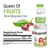 Solaray Mangosteen Fruit 475mg | 100ct