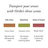 ORIBE Desertland Incense