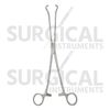 Babcock Tissue Forceps 10" Surgical Veterinary Instrument Stainless German Grade