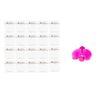 janssen gentle cleansing powder 20 samples