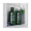 Paul Mitchell Tea Tree Lavender Mint Moisturising Shampoo, 300 ml