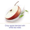 Dove Advanced Care Antiperspirant Deodorant Stick for Women, Apple & White Tea, for 48 Hour Protection And Soft And Comfortable Underarms, 2.6 oz