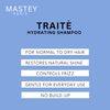 Mastey PARIS - Traite Shampoo - 33 fl oz (1 PACK)