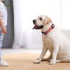 Rhea Rose Dog Martingale Collar with Quick Release Buckle, Adjustable Soft Escape Proof Training Collar, Red Flowers Pattern, Large