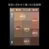 Kanebo Kate 3D Eyebrow Colour BR-5 Rose Brown