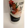 Daily Defense Hydrating Coconut Shampoo 16oz