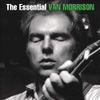 Van Morrison - Essential Van Morrison (2 CD)