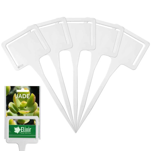 Elixir Gardens ® White Plant T-Labels | 15.5cm / 6" | with Seed Packet Holder | 100