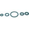 Dorman 904-498 Fuel Filter Housing Seal Kit Compatible with Select Ford Models