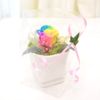 Rainbow Rose Preserved putiarenzi