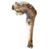 Jones Natural Chews Lamb Shank Bone Shrinkwrap 7 in