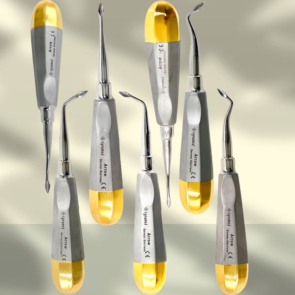 7pc Set Bernard Dental Elevator Luxating Spade Shaped Tip Concave Handle-ArTLaB