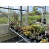Dragonfli Distribution Box - Apply Natural Predators To Plants - Biological Control Applicator - Boosts Predator Numbers