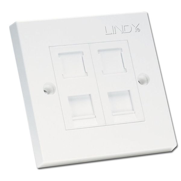 LINDY CAT5e Single Wall Plate with 2 x RJ-45 Shuttered Socket Unshielded