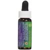 Flower Essence Services Angelica Essence, 0.25 Ounce