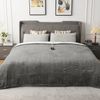 Heated Blanket, Full Size 77"X 84" Soft Flannel Fast Heating Blanket with Multi-