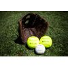 Rawlings | PLAYER PREFERRED Glove | Baseball/Softball | Right Hand Throw | 12.5" - Basket Web