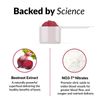 Force Factor Total Beets Circulation Superfood Beet Root Powder Nitric Oxide