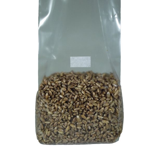 Sterilized Rye Berry Mushroom Substrate