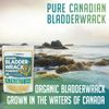 XPRS Nutra Organic Bladderwrack Powder (Fucus Vesiculosus) - Premium Bladderwrack Organic Powder for Glowing Skin - Vegan Friendly Bladderwrack Herb Iodine Supplement (4 Ounce)