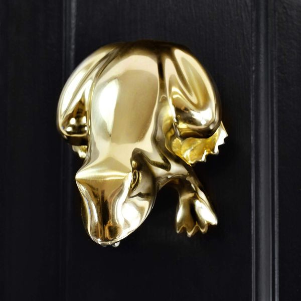 Polished Brass Frog Door Knocker