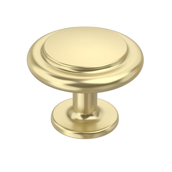 Coinkoly 10 Pack Gold Cabinet Knobs - Single Hole Zinc Alloy Drawer Pulls for Kitchen Cupboard - Round - UK0009