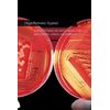 LABORATORIO DE MICROBIOLOGÍA, BACTERIAS, VIRUS, HELMINTOS.