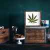 Weed Leaf Stencil - Pot Leaf Stencil, Weed Leaf, Weed Stencils, Stencil Weed Leaf, Marijuana Stencil