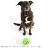 Platts Holy Roller ball S Light Green