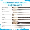 Princeton Syn Bristle 6250Dg Dagger Striper 4