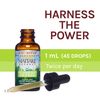Host Defense, Maitake Extract, Mushroom Supplement, Plain, 1 fl oz