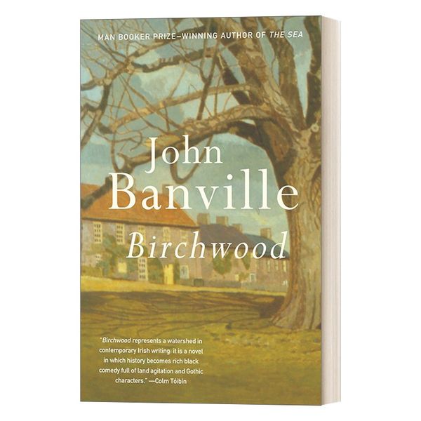 Birchwood Vintage International 英文原版小说 桦林庄园 John Banville约翰·班维尔 英文版 进口英语原版书籍