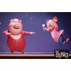 Sing