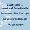 Life Extension Vitamin B12 Methylcobalamin 500mcg - Vitamin B12 Supplement for General Energy and Brain Health - Sugar Free Vegetarian Lozenges Dissolve in Your Mouth - Once Daily - 100 Count
