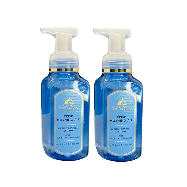 Bath and Body Works 2 Pack Crisp Morning Air Gentle Foaming Hand Soap. 8 Oz