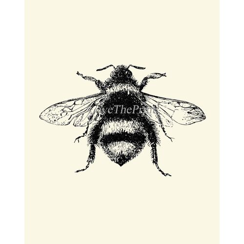 Bee Dragonfly Butterfly Wall Art Prints set of 3 Prints 8x10 - Unframed - Beautiful Black and White Illustration Ivory Natural Background Home Room Decor LoveThePrint