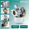 Carburetor & Filter for  790182, 795069, 790180 Small Engine